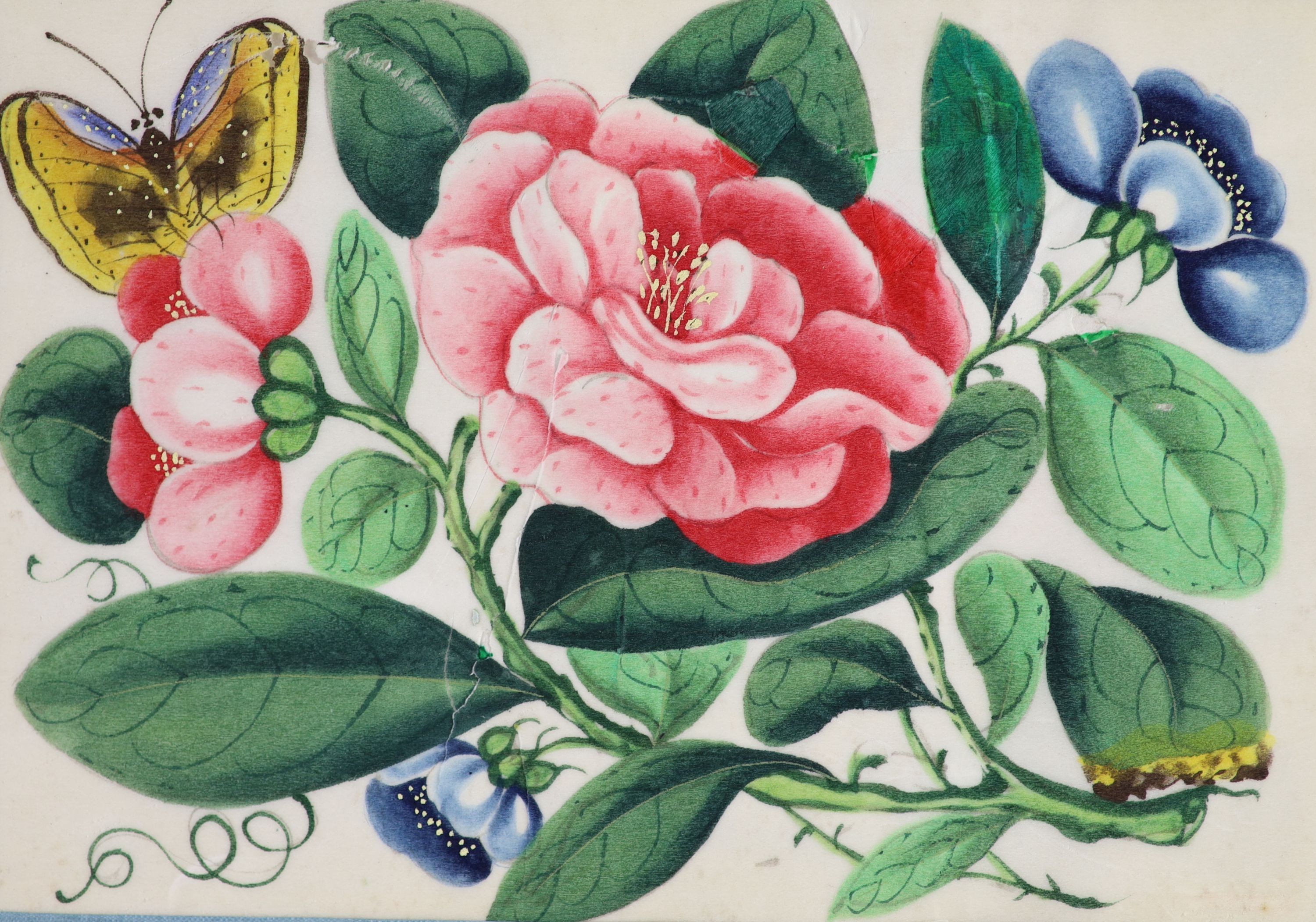 A Chinese album of twelve pith paintings of flowers and butterflies, 19th century, 17 x 24 cm